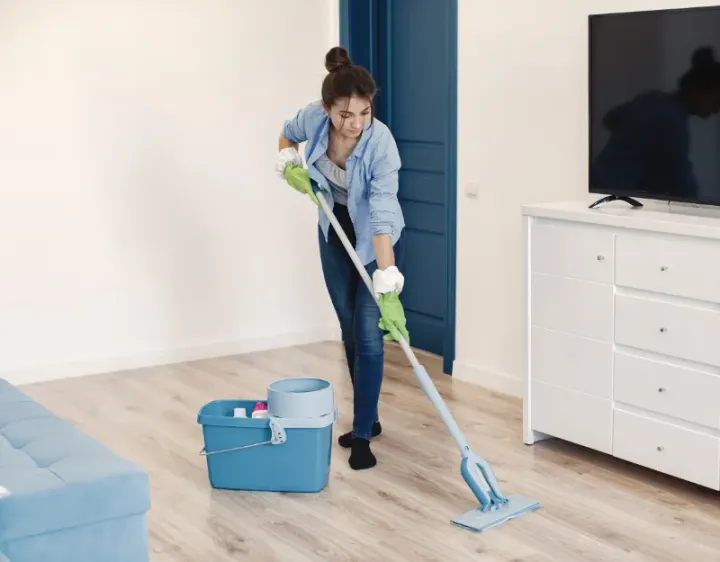 Femme de ménage Les Portes du Coglais